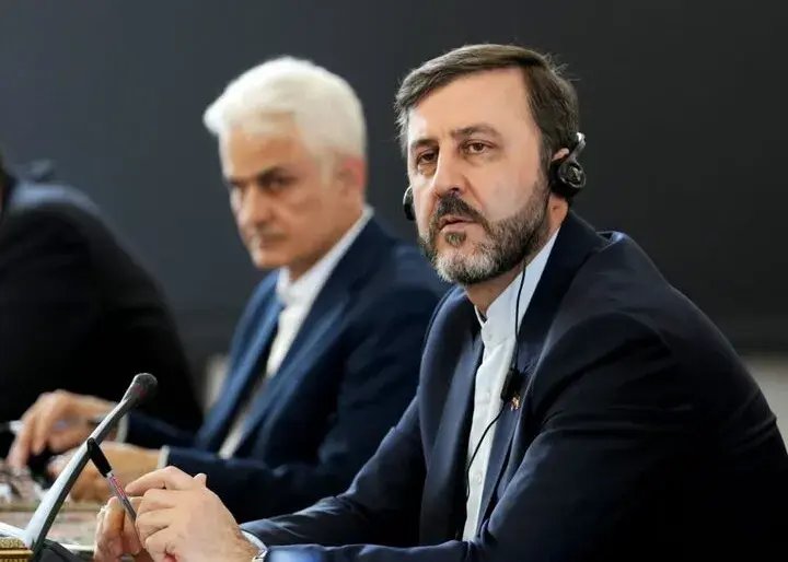 غریب‌آبادی: ایران برای همکاری با آلکو آماده است