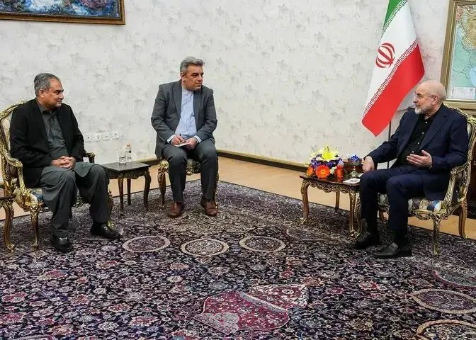 وزیر کشور پاکستان در تهران ماندنی شد